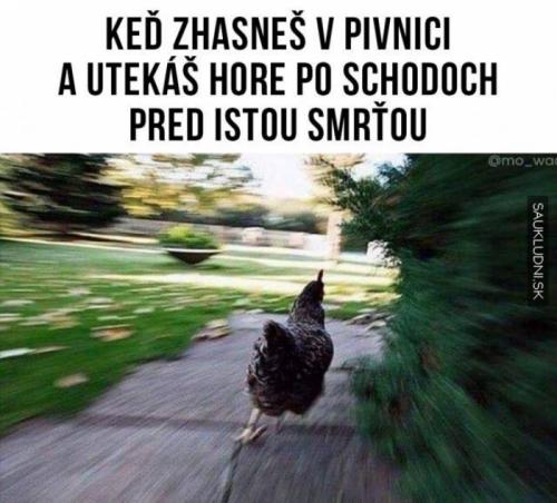  Ve sklepě 