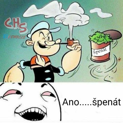 Špenát