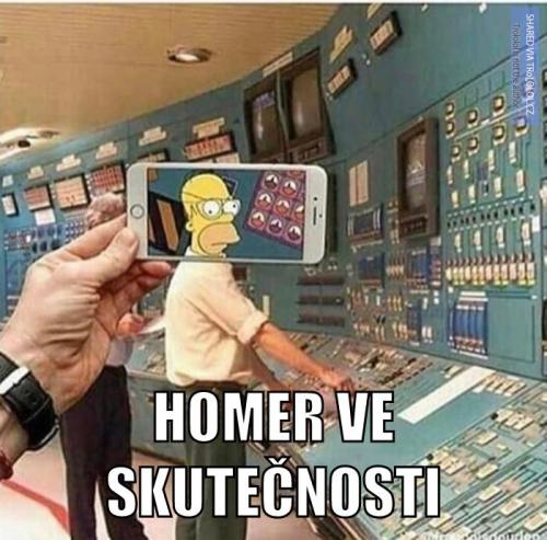  Homer ve skutečnosti 