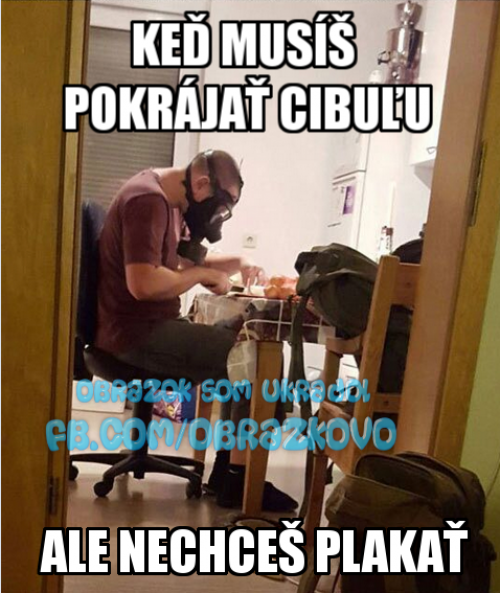 Ochrana proti cibuli