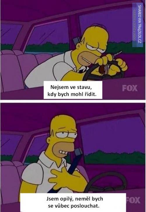  Homer a opilost 