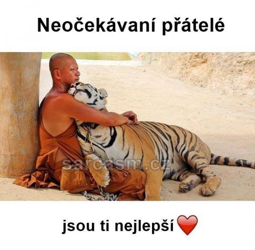  Neočekávání přátelé 