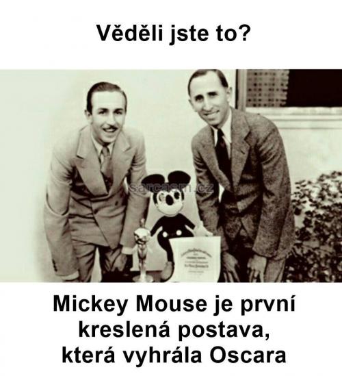  Mickey Mouse 