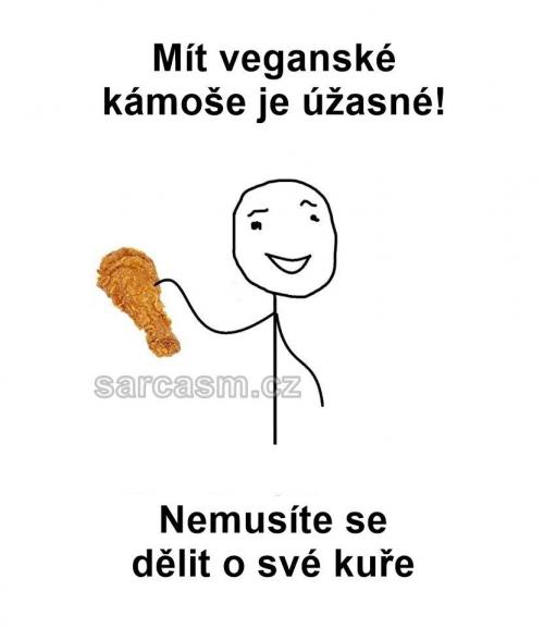  Veganští kámoši 