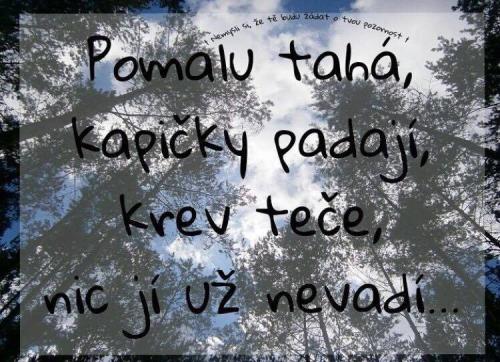 Kapičky