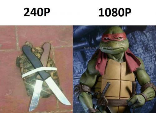 240P