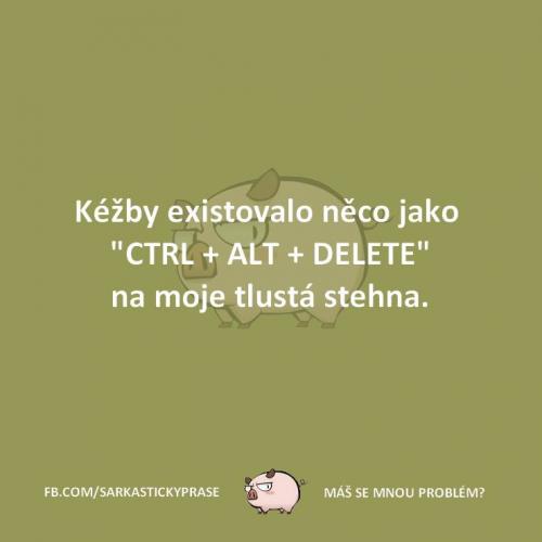 Kéž by to existovalo