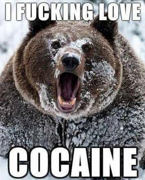  Kokain 