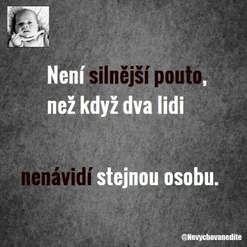 Polovičky