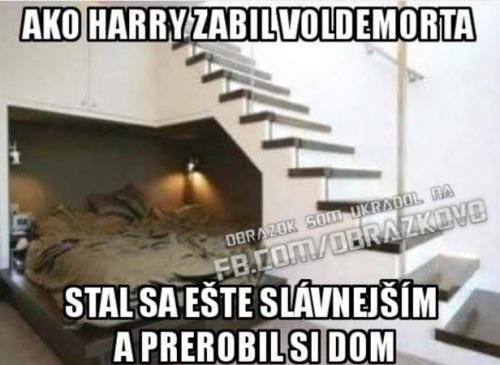  Když Harry zabil Voldemorta :D 