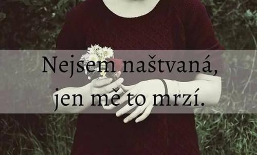Nezlobím se