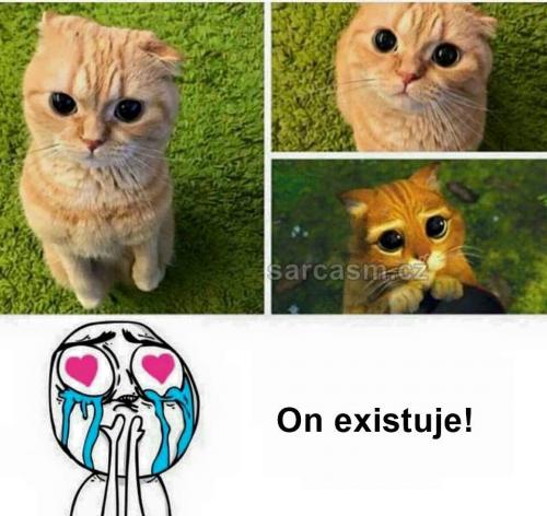 On exisujte!