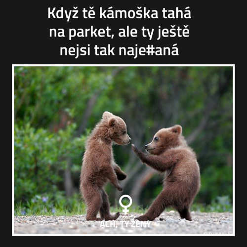  Kámoška 
