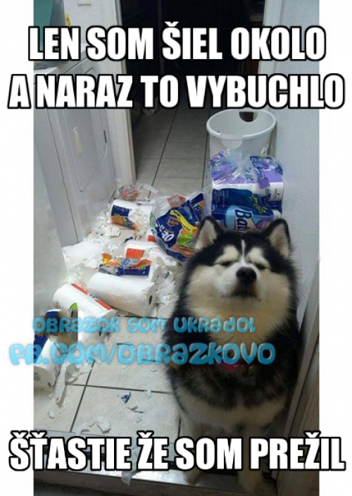  Zničeho nic! 