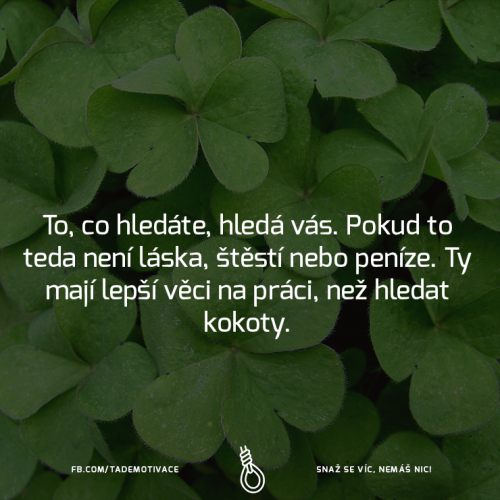 Bohužel no