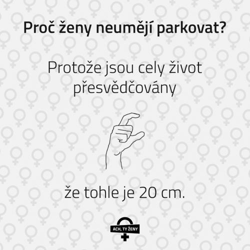  Ženy 