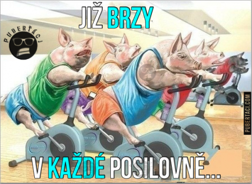 Už to začíná