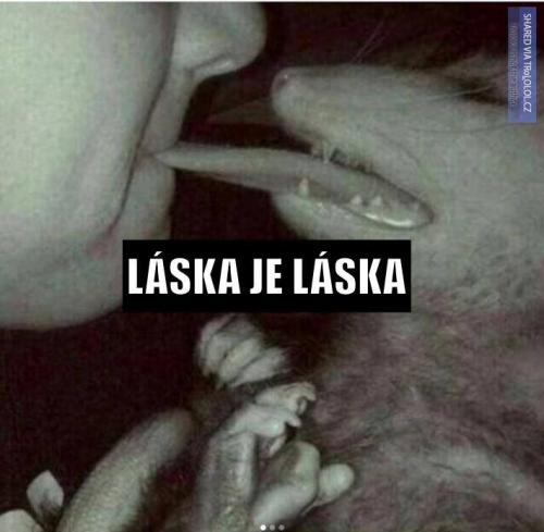  Láska 