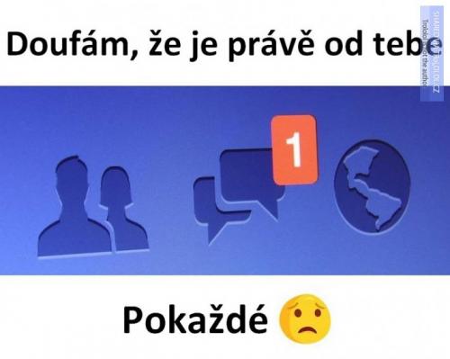  Zpráva 