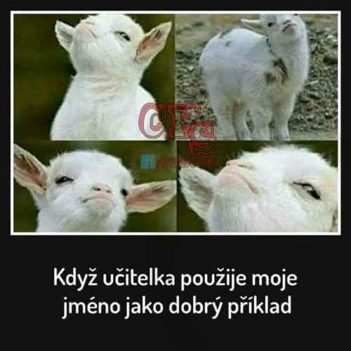  DObrý příklad 