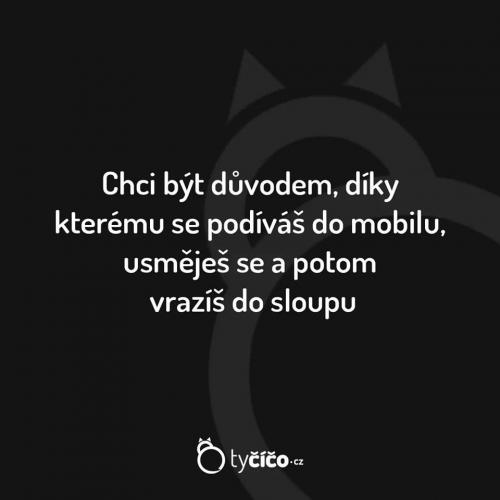  Důvod 