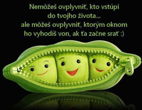  Zivot 