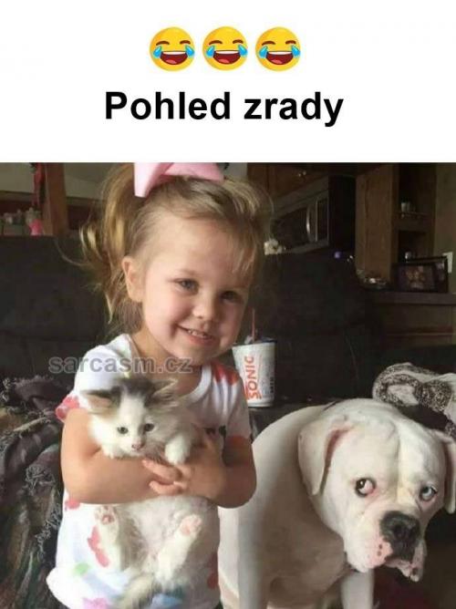  Pohled zrady 