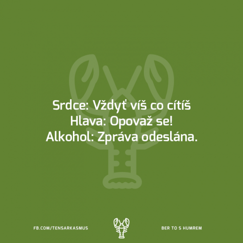  Srdce, hlava, alkohol 