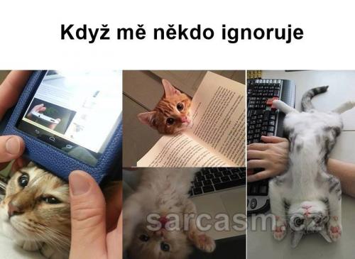  Když mě někdo ignoruje 