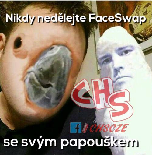  FaceSwap 