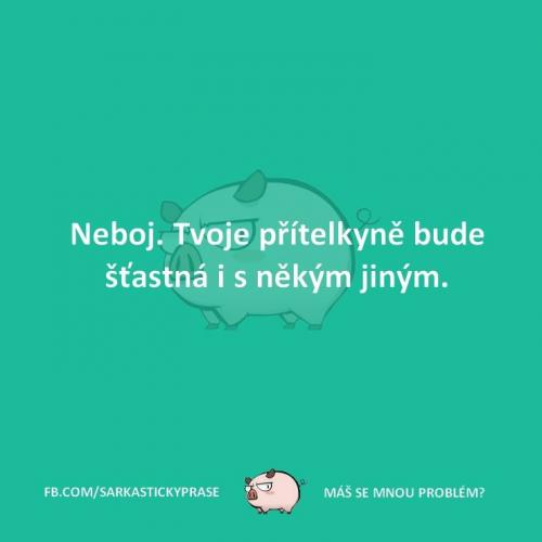  Tvoje přítelkyně 