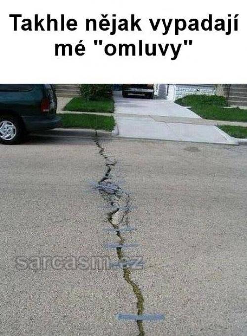 Omluvy