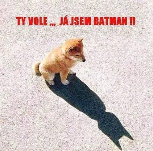  Já jsem batman 