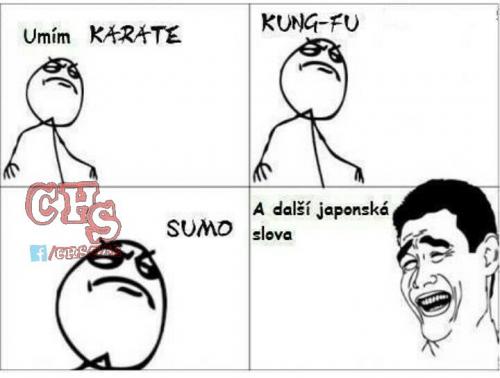  Karate 
