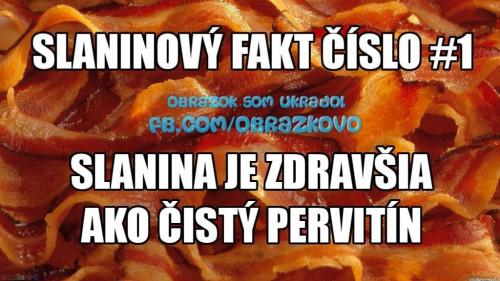 Slaninový fakt