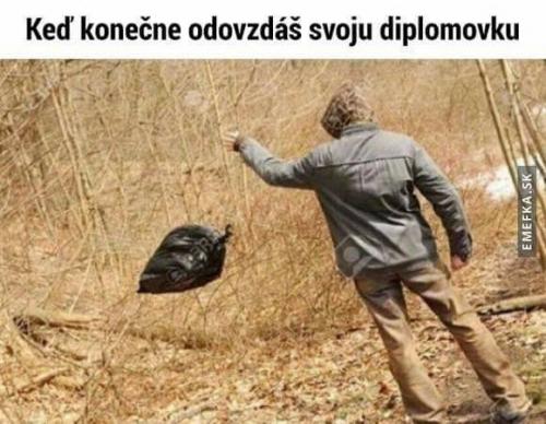 Diplomka
