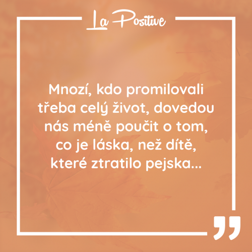  Promilovali celý život 