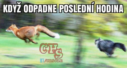  Poslední hodina 