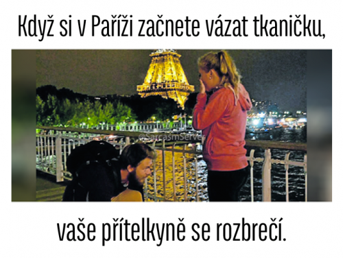 V Paříži