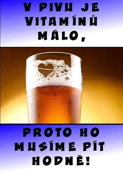  Pivo 