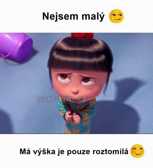  Nejsem malý 