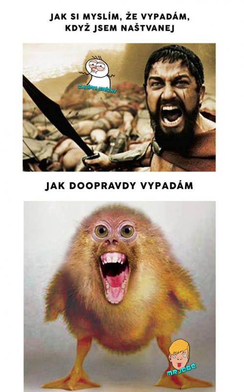 Jak doopravdy vypadám