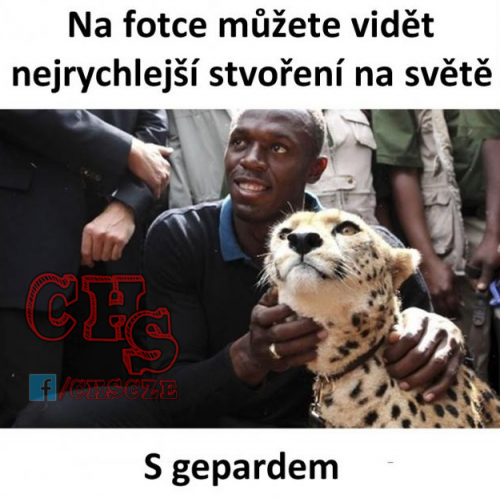  Gepard 