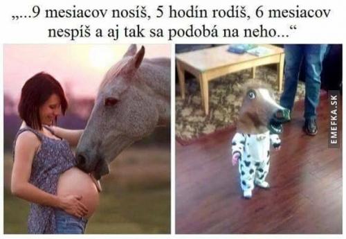 Co naděláš