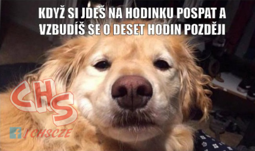 Souhlasí