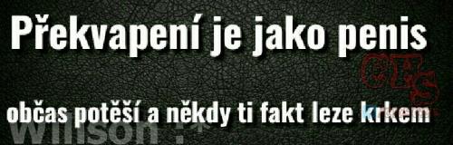 Překvapeín