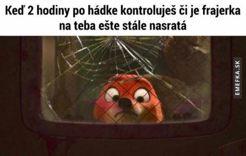  Hádka 