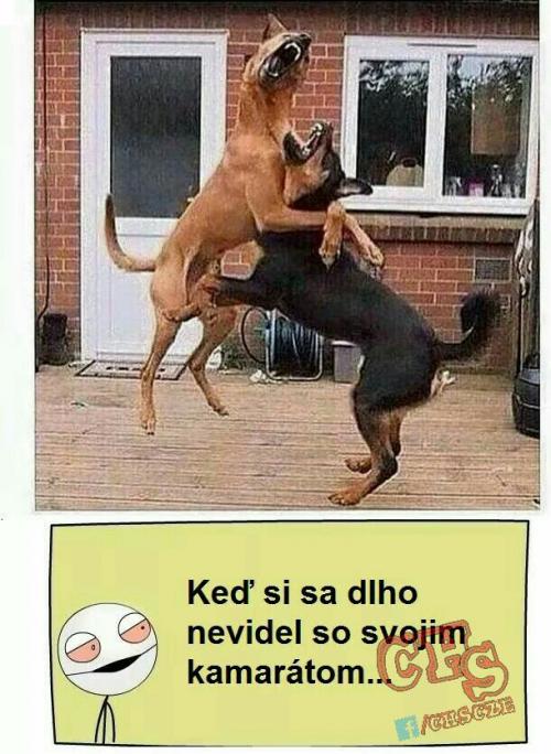 S kámošem