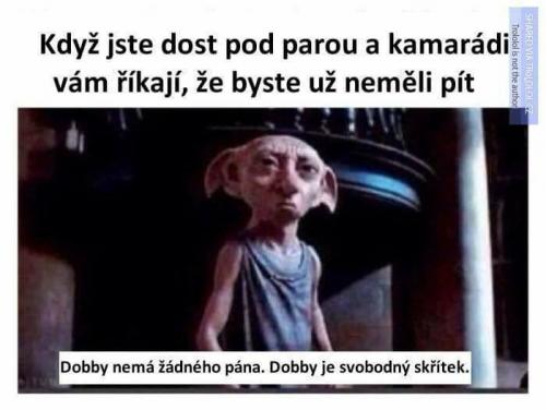  Dobby je svobodný 
