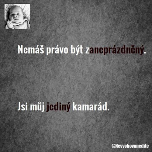 Zaneprázdněný